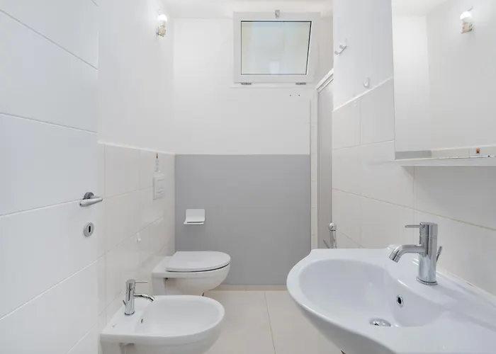 Cormorani - 8 Golfo Aranci